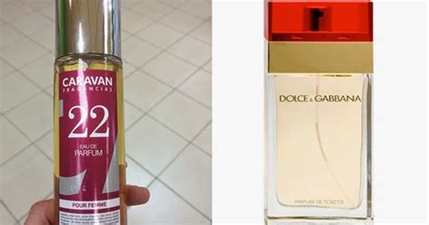 caravan dolce gabbana mujer|perfumes de caravans para mujer.